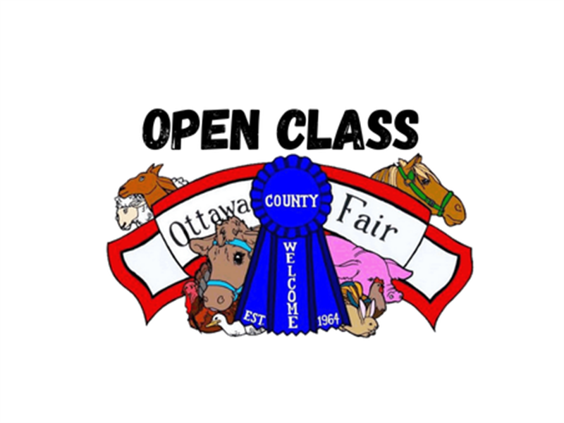 Logo for 2026 Ottawa County Open Class