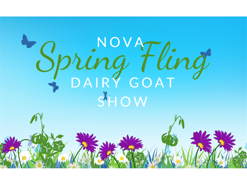 Logo for 2026 NOVA Spring Fling